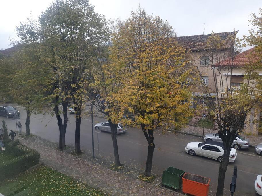 Rubi's Apartament * Korce